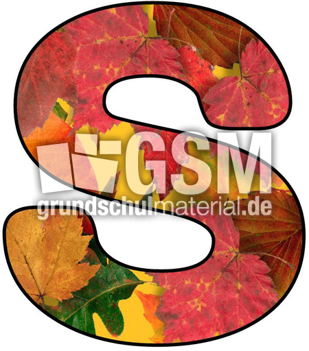 Herbstbuchstabe-5-S.jpg
